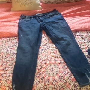 Maurices jeans
